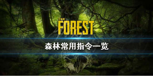 《森林》游戏常用指令有哪些 The Forest常用指令一览