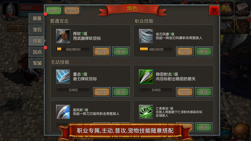 技能大师