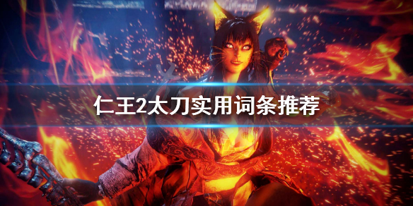 《仁王2》太刀用什么词条 太刀实用词条推荐