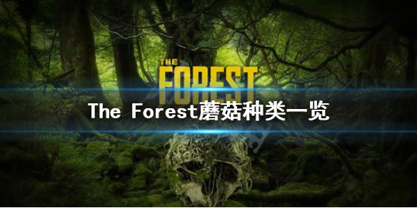 《森林》游戏蘑菇能吃吗 The Forest蘑菇种类一览