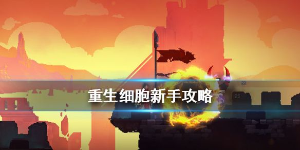 重生细胞
