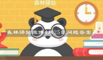 森林驿站