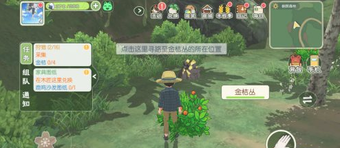 《小森生活》金桔作用介绍