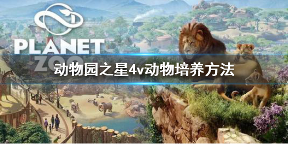 《动物园之星》4v动物怎么培养 4v动物培养方法