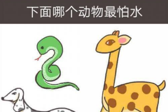 我太难了老铁第33关攻略