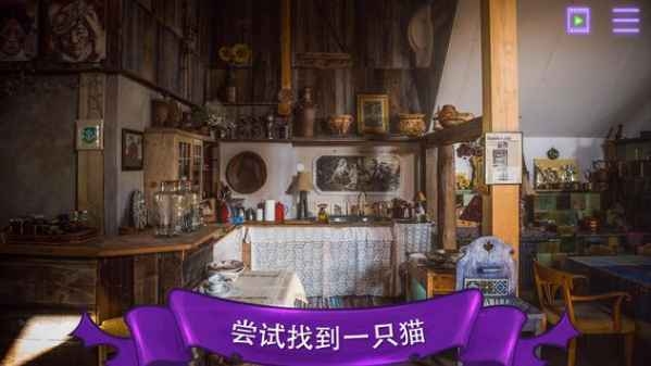 找一只猫安卓版