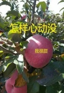 续丰