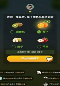 续丰