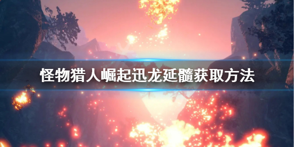 《怪物猎人崛起》迅龙延髓怎么获得 迅龙延髓获取方法