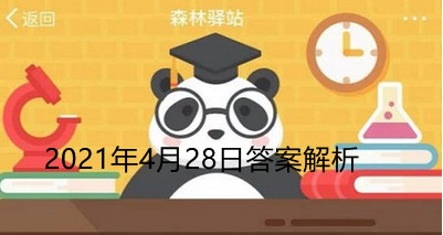 森林驿站