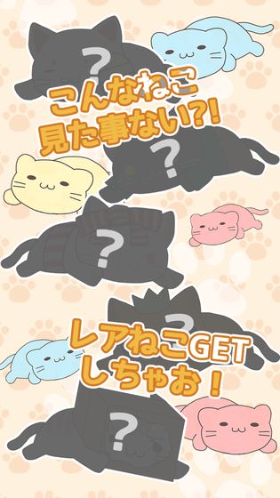 叠猫猫测试版
