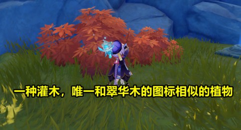原神木材种类及砍树攻略