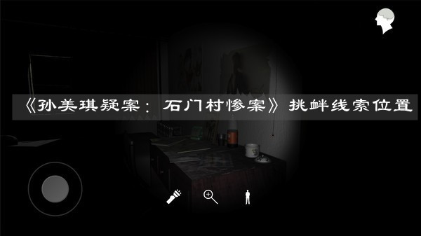 《孙美琪疑案：石门村惨案》