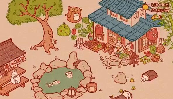 Usagi Shima