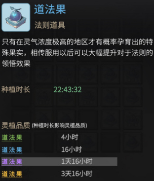 《一念逍遥》道法果收益详解