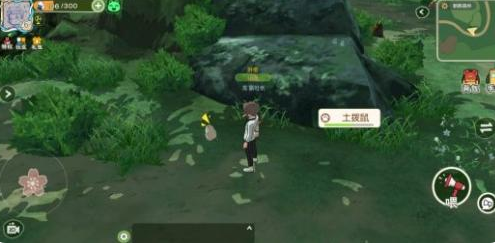 《小森生活》土拨鼠不出洞解决办法