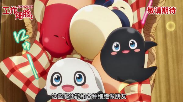 工作细胞大作战