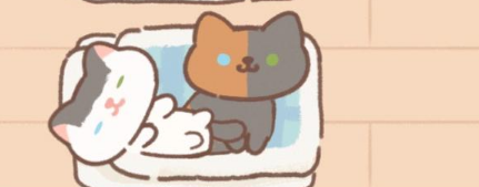 《遇见你的猫》剧情触发攻略