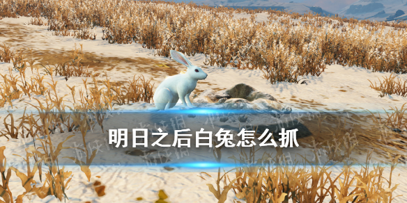超能街机1