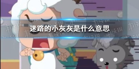 迷路的小灰灰是什么梗