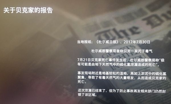 《生化危机8》BSAA相关内容一览