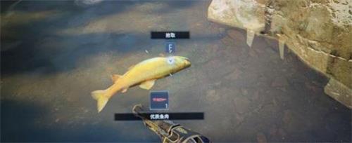 生化危机8食材在哪可以获取