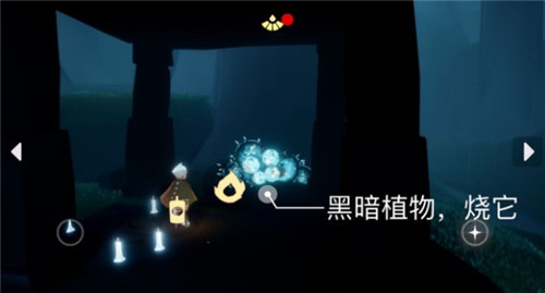 《光遇》5月10日日常任务流程