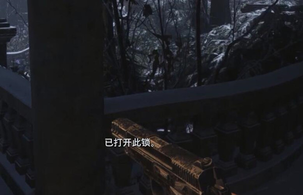 《生化危机8》宝物如何寻找