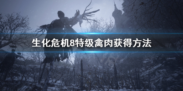 《生化危机8》奇异鸟在哪 特级禽肉获得方法