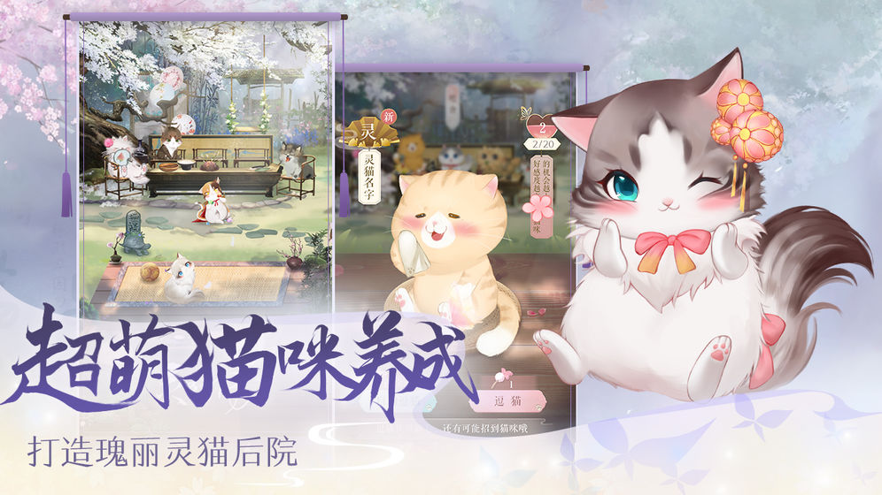 灵猫传预下载