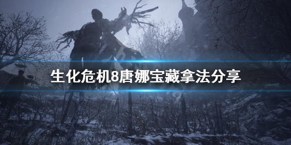 《生化危机8》唐娜宝藏怎么拿？唐娜宝藏拿法分享