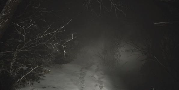 生化危机8剧情介绍 生化危机8主线支线流程全收集攻略