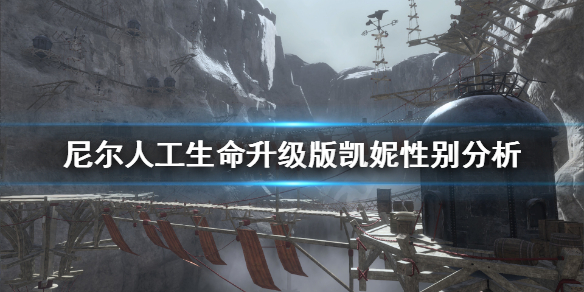 《尼尔人工生命升级版》凯妮性别情报分析，她到底是男是女还是？