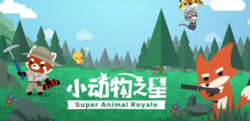 小动物之星哪里的物资比较多