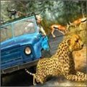 野生生存狩猎官网正式版