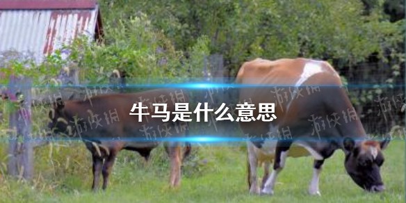 牛马是什么意思