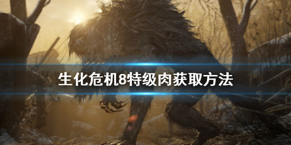 《生化危机8》特级肉获取方式