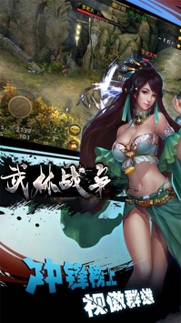 武林战争中文版