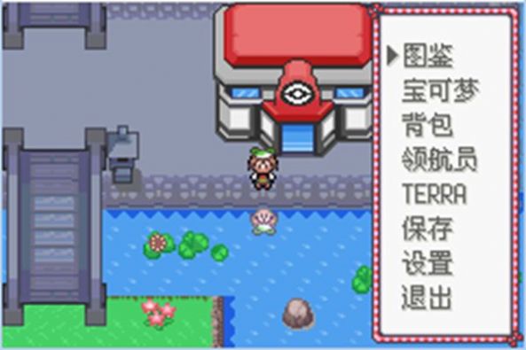 口袋妖怪空之花神汉化版