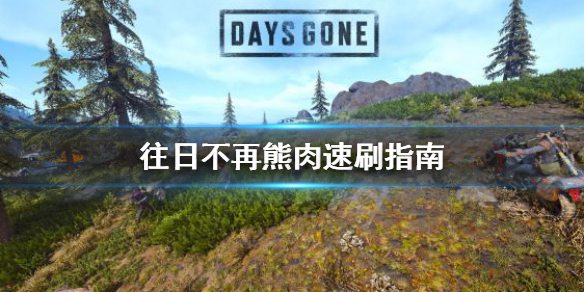 《往日不再》熊肉去哪刷 熊肉速刷指南