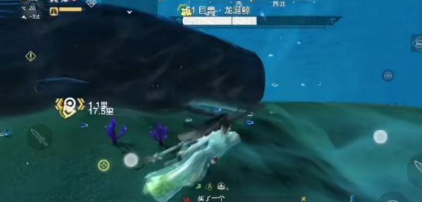 《妄想山海》龙涎鲸值得培养吗
