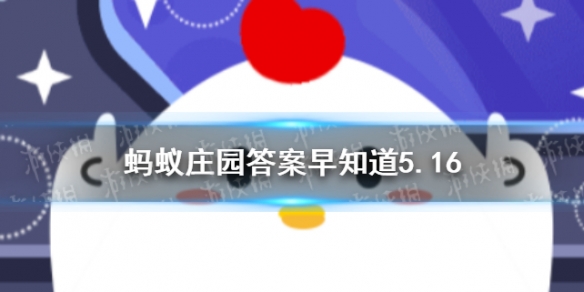 阴雨天还需要涂防晒霜吗 小鸡宝宝今日答案早知道5月17日