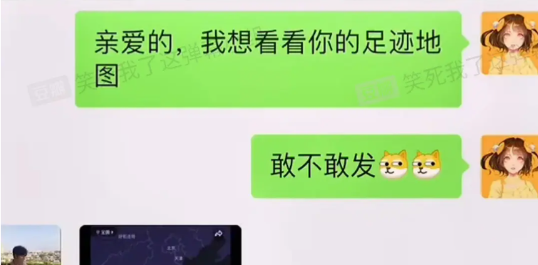 曹县护照是什么梗