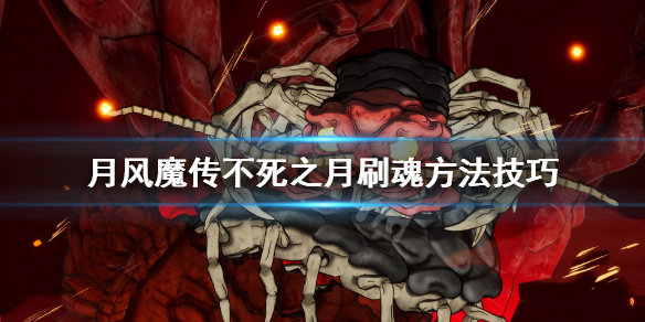 《月风魔传不死之月》魂怎么获得？刷魂方法技巧