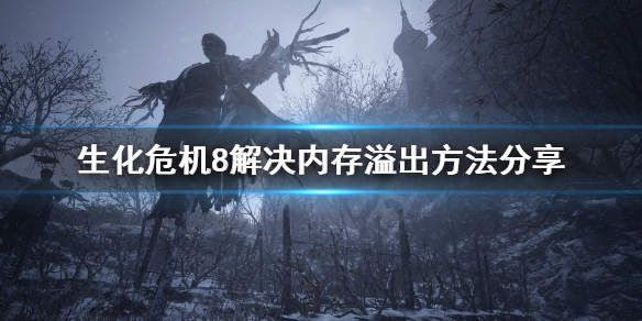 《生化危机8》该内存不能为written怎么办？解决内存溢出方法分享