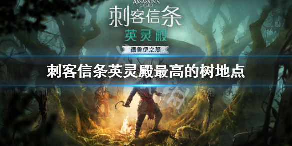 《刺客信条英灵殿》都柏林最高的树在哪？最高的树地点