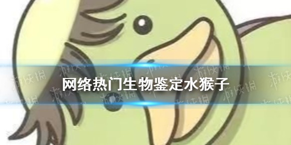 网络热门生物鉴定水猴子 无穷小亮水猴子