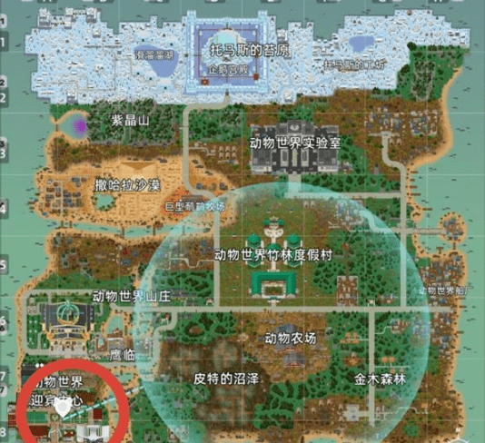 《小动物之星》禁止跳舞奇遇攻略