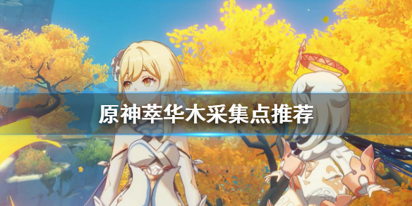《原神》萃华木哪里最多？萃华木采集点推荐
