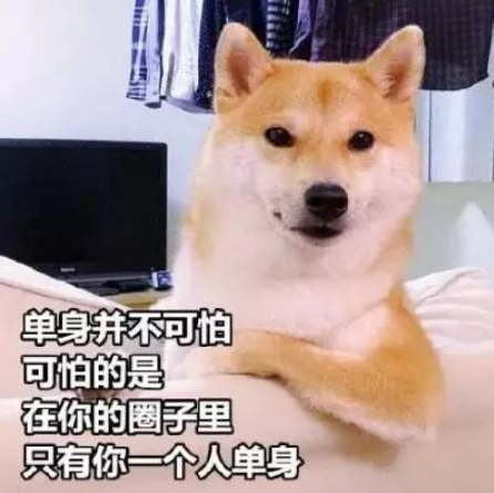 QQ截图20210519155929.png